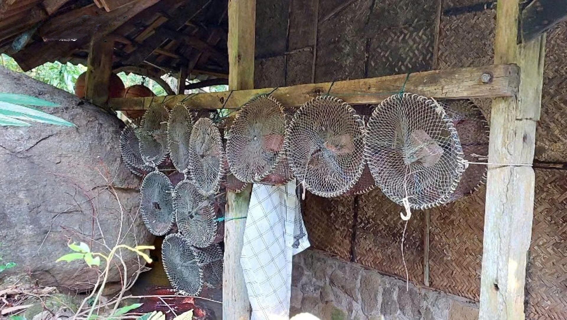 Bảo tàng Đồng Đình Đà Nẵng: Điểm đến văn hóa giữa rừng Sơn Trà có gì đặc biệt?