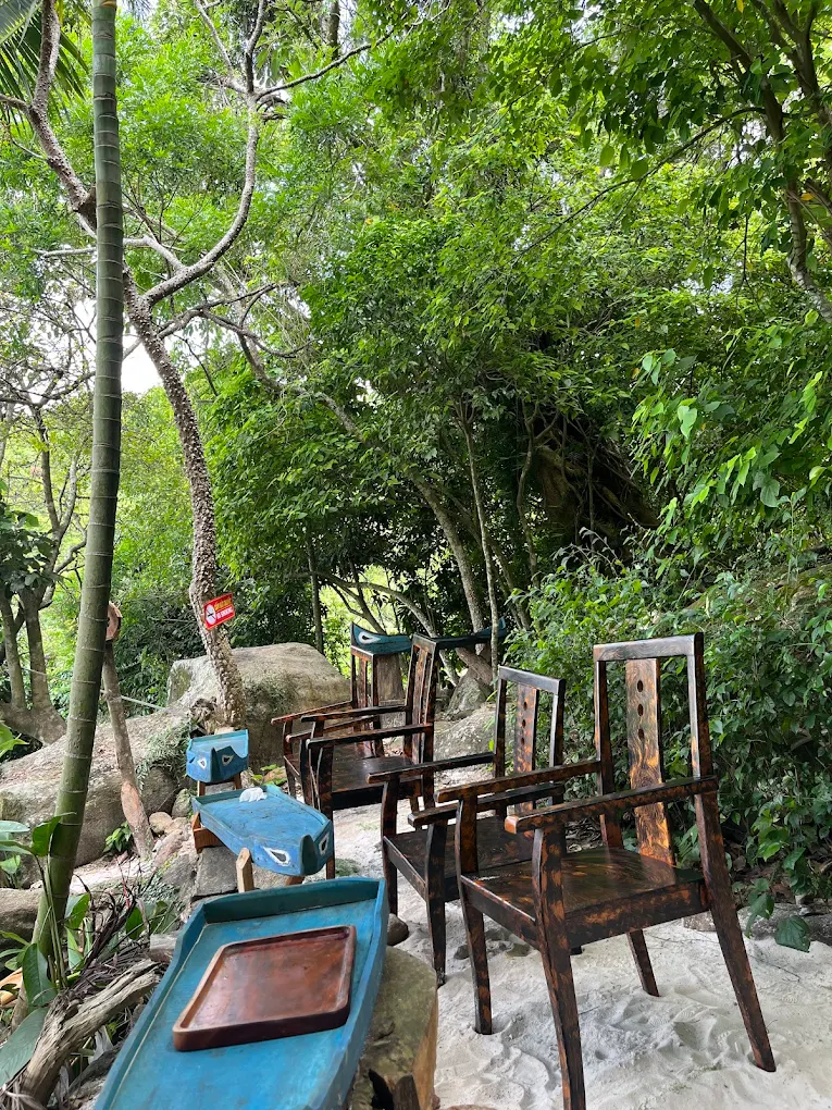 Bảo tàng Đồng Đình Đà Nẵng: Điểm đến văn hóa giữa rừng Sơn Trà có gì đặc biệt?