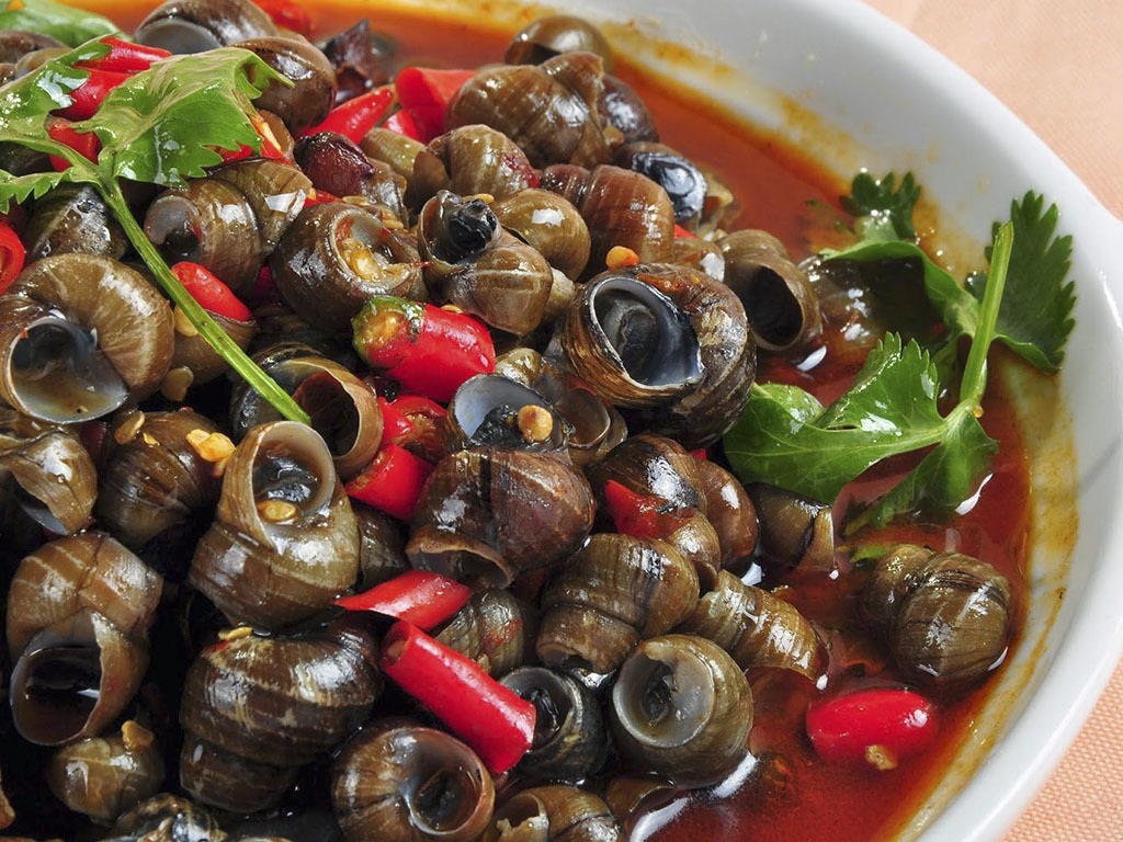 Quán ốc hút Đà Nẵng nào ngon? Gợi ý những địa chỉ ăn ốc hút chuẩn vị khiến du khách mê mẩn