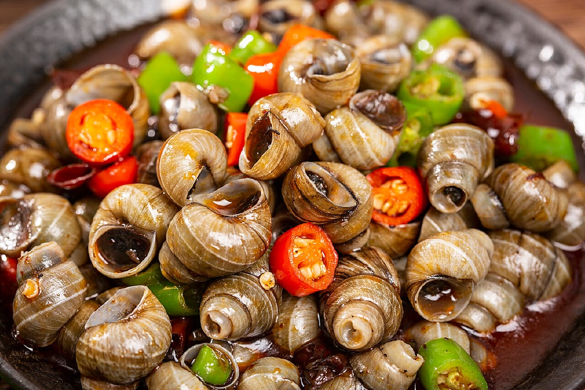 Quán ốc hút Đà Nẵng nào ngon? Gợi ý những địa chỉ ăn ốc hút chuẩn vị khiến du khách mê mẩn